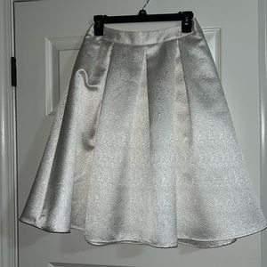 Express Skirt
